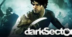 Dark Sector