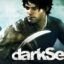 Dark Sector