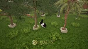 BunHouse BunHouse Gameplay Screenshot